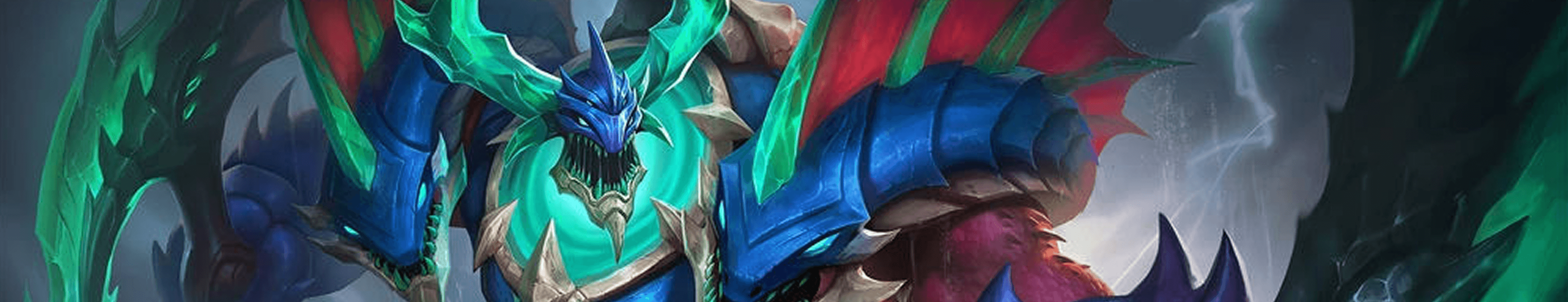 Banner RAPSPOINT